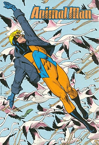 Animal Man using his powers