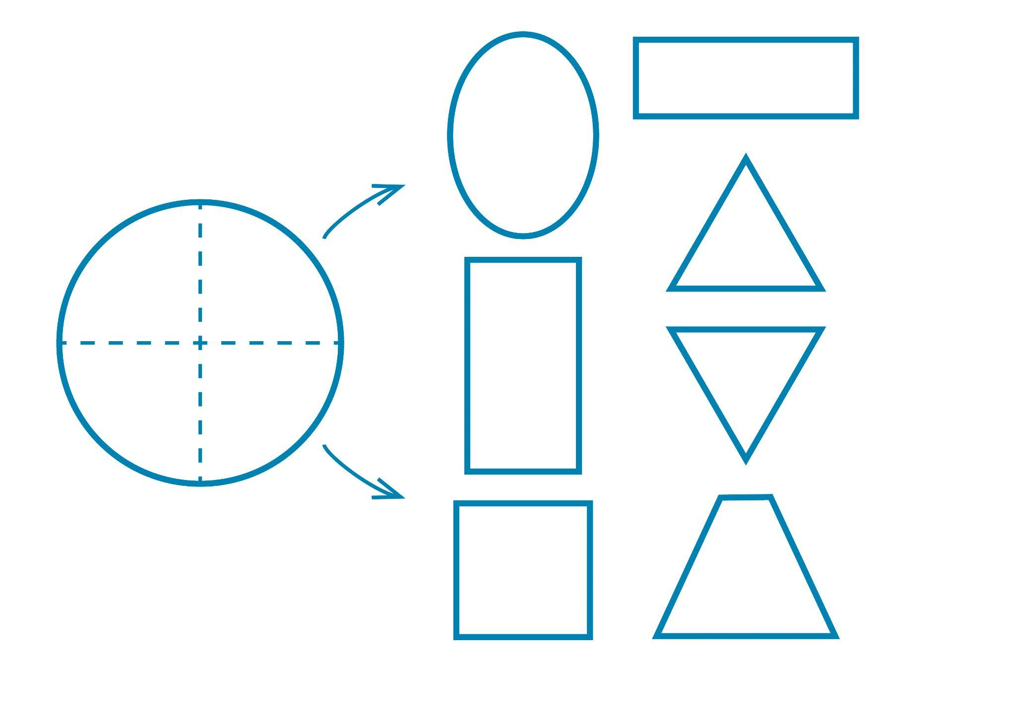 Diversas formas para la bóveda craneal